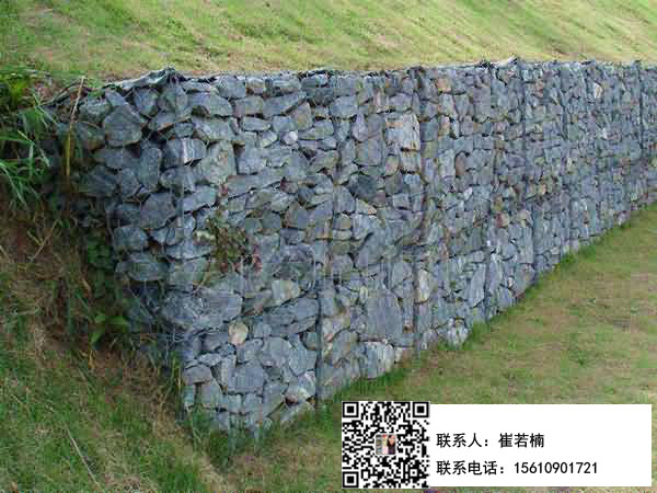 timg333_副本.jpg timg333_副本.jpg